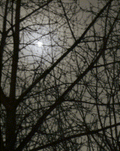 5 COUNT: March 1st-15th 2025